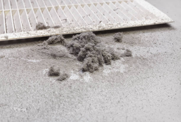 Best Air Duct Mold Removal  in Liberty City, TX