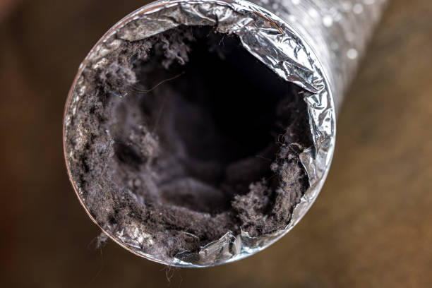 Best Ductwork Cleaning Services  in Liberty City, TX